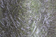 Halwin fibreglass roof work